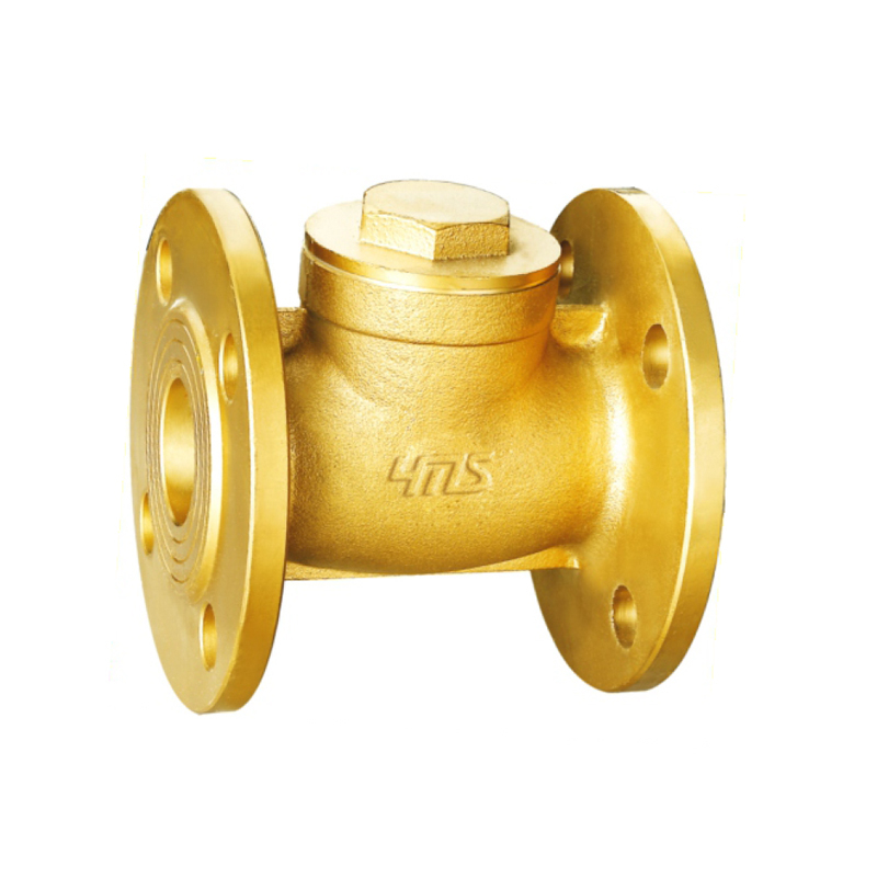 1713 Brass Flange Check Valve